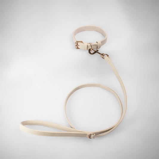 OFF WHITE SET COLLAR + CITY LEASH