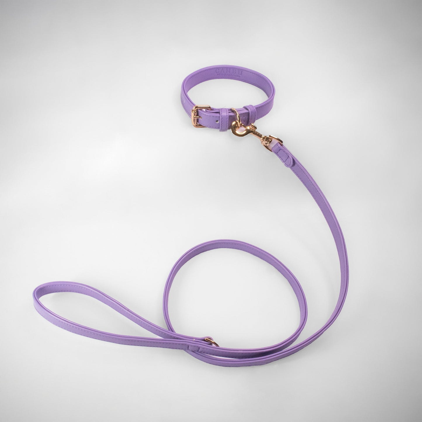 BLACK SET COLLAR + CITY LEASH