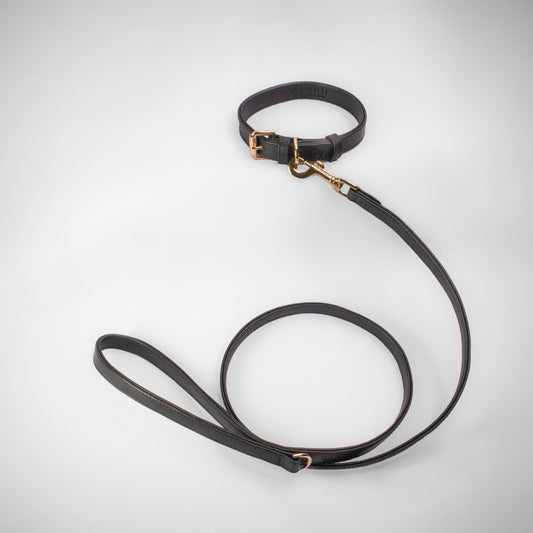 BLACK SET COLLAR + CITY LEASH