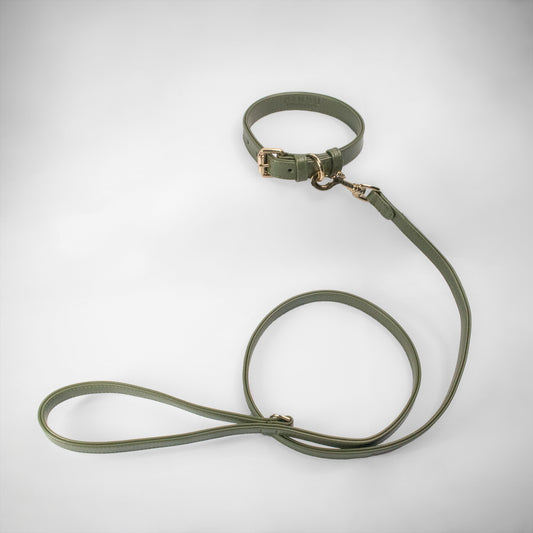 OLIVE SET COLLAR + CITY LEASH