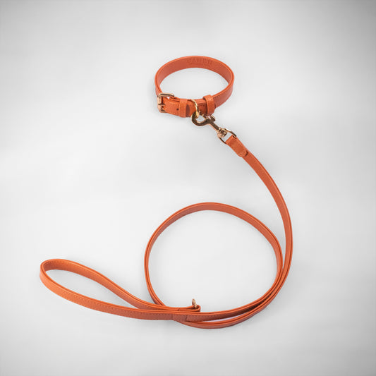 GINGER SET COLLAR + CITY LEASH
