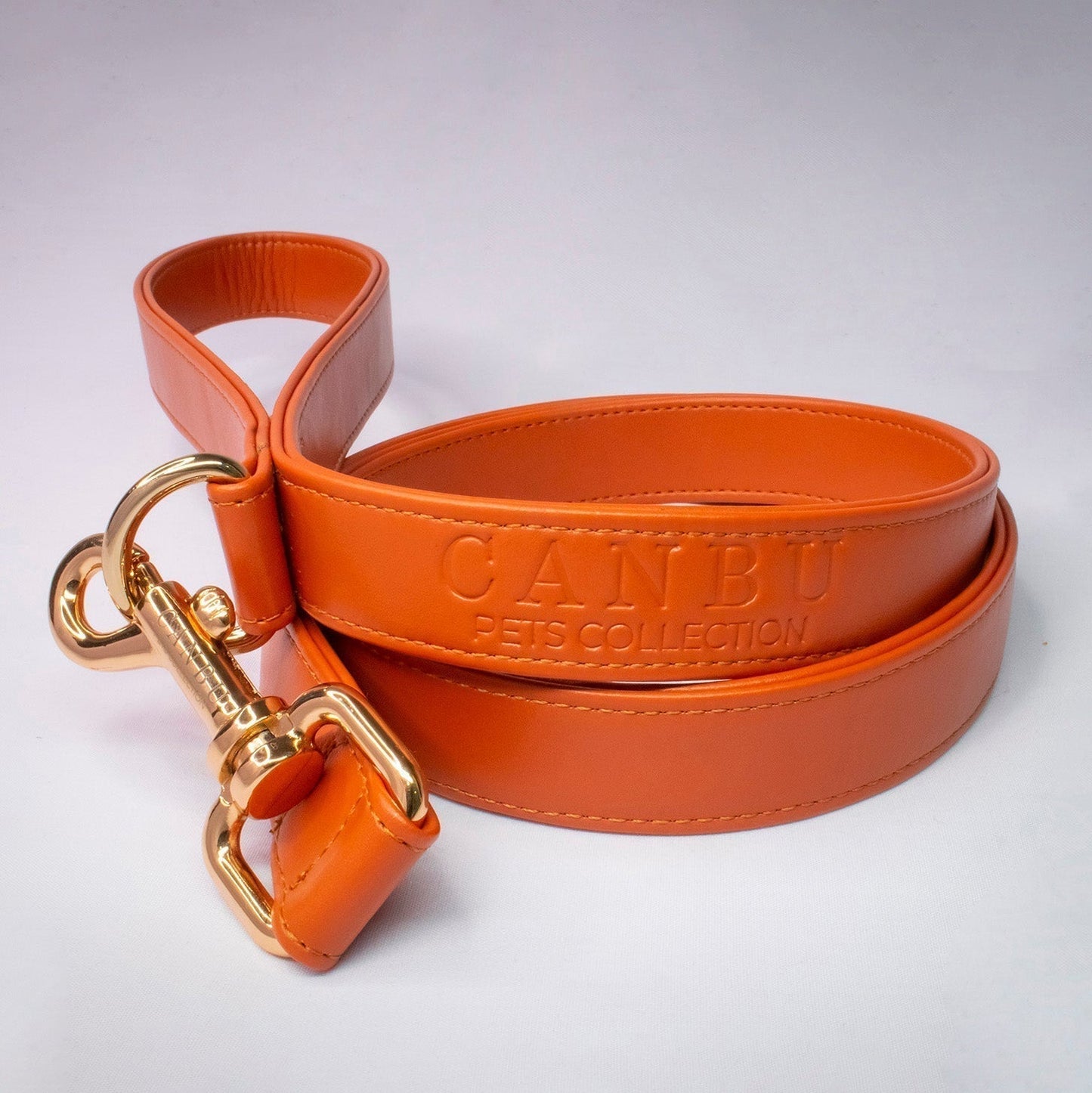 GINGER BU LEASH