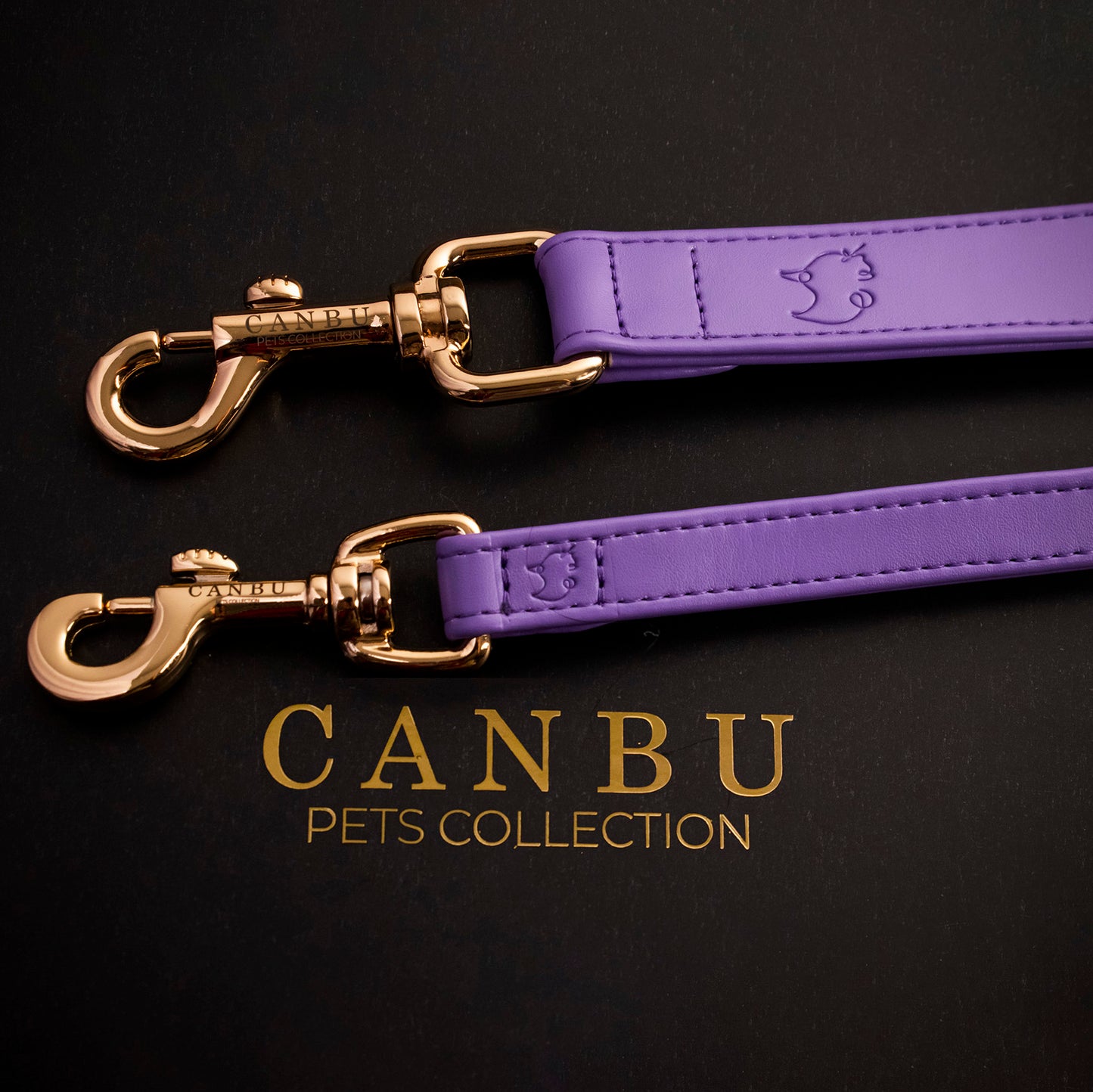 LILA BU LEASH