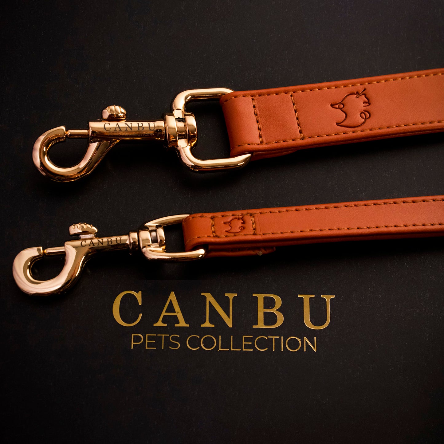 GINGER BU LEASH