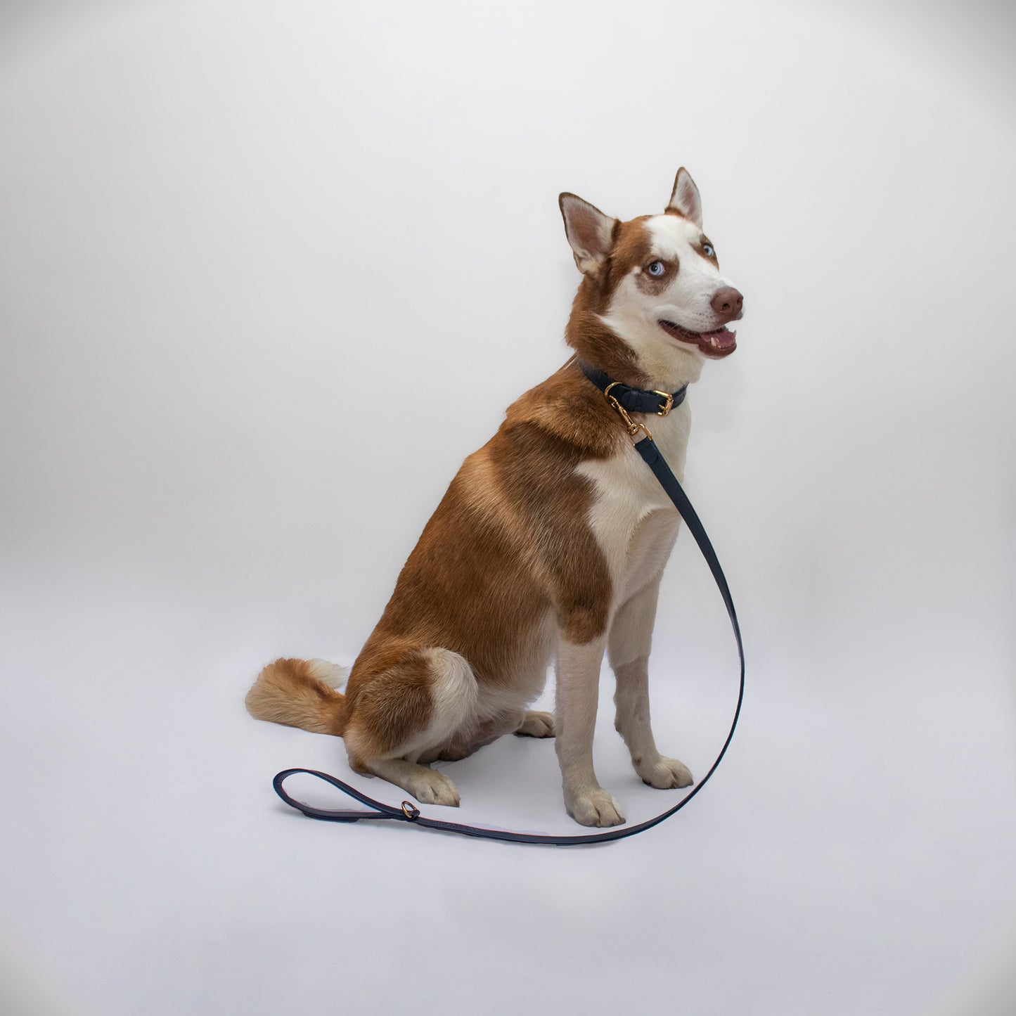 NAVY BLUE BU LEASH