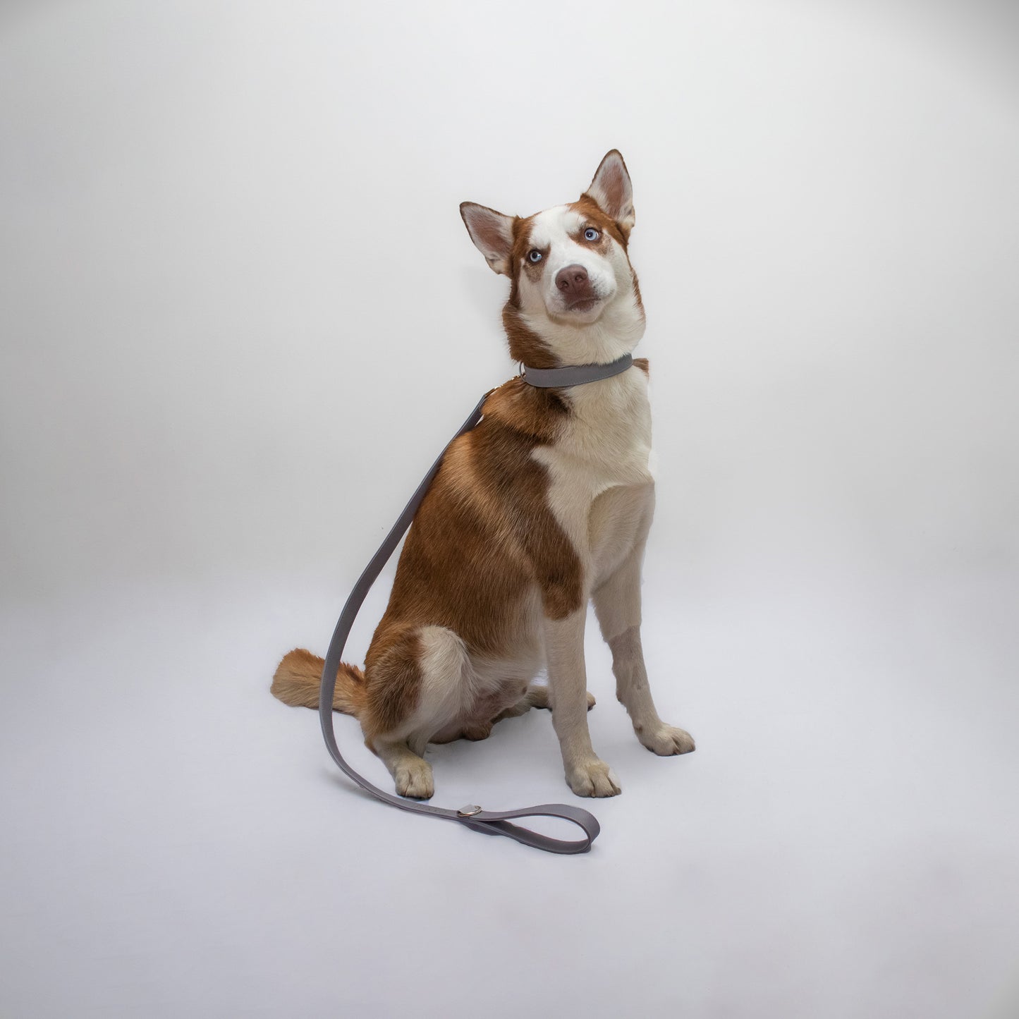 LIGHT GREY BU LEASH