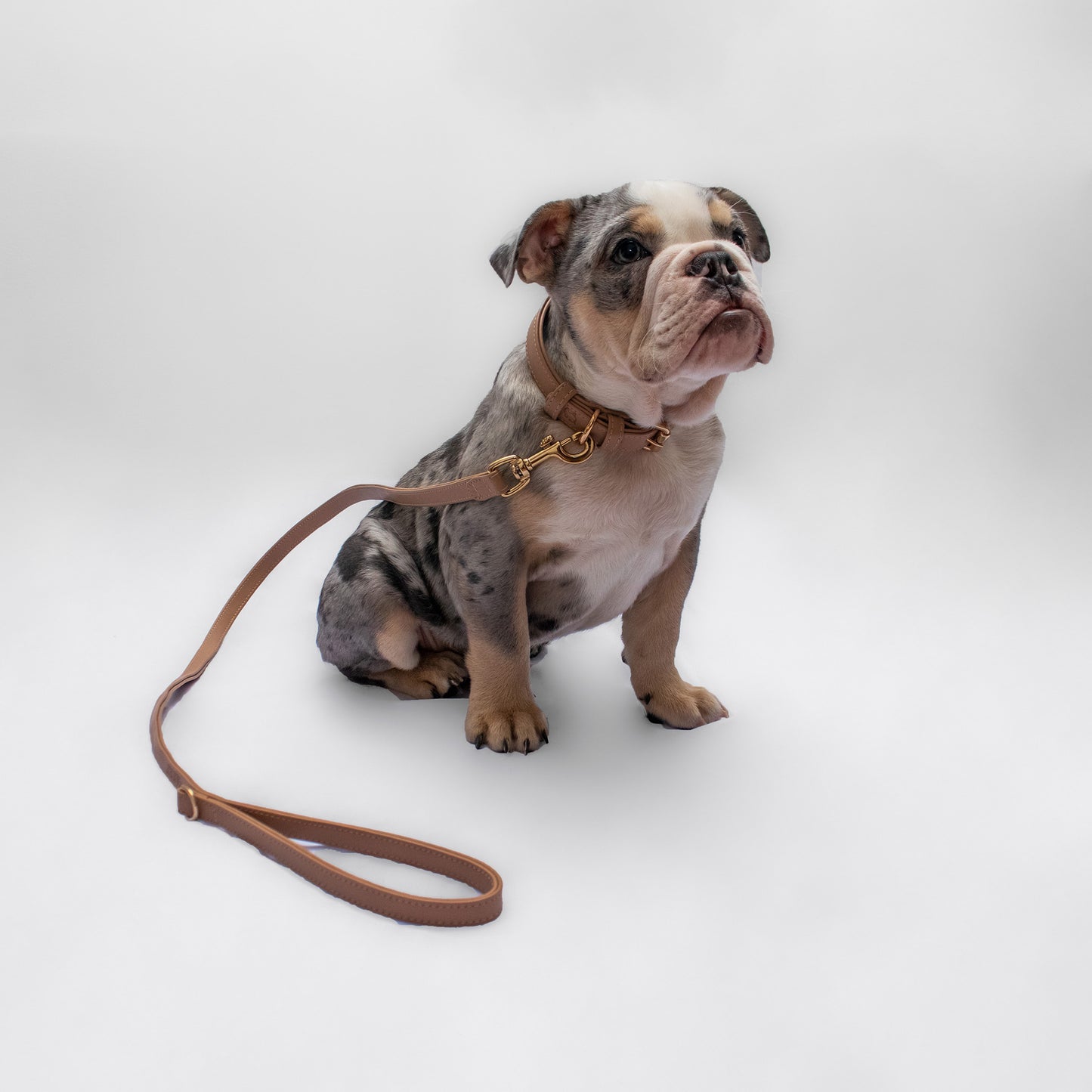 NUDE BU LEASH