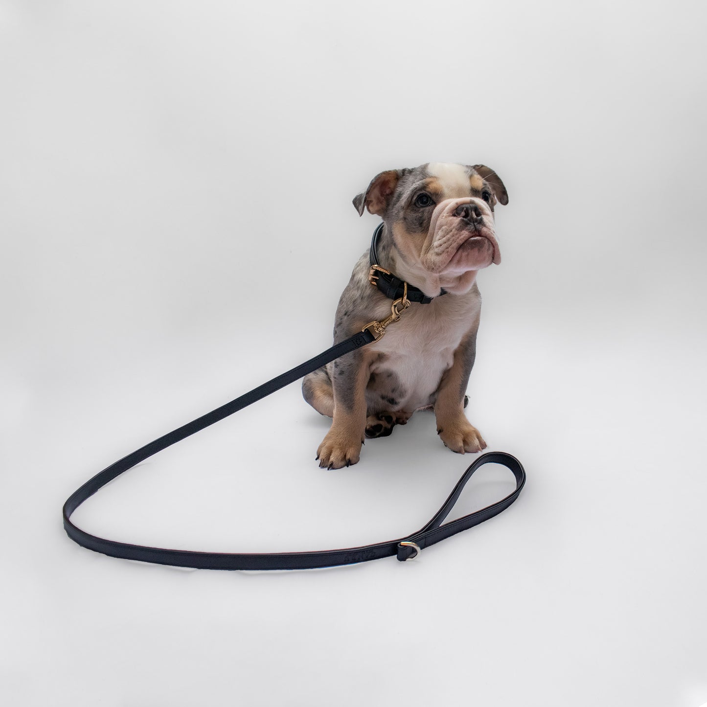 BLACK BU LEASH